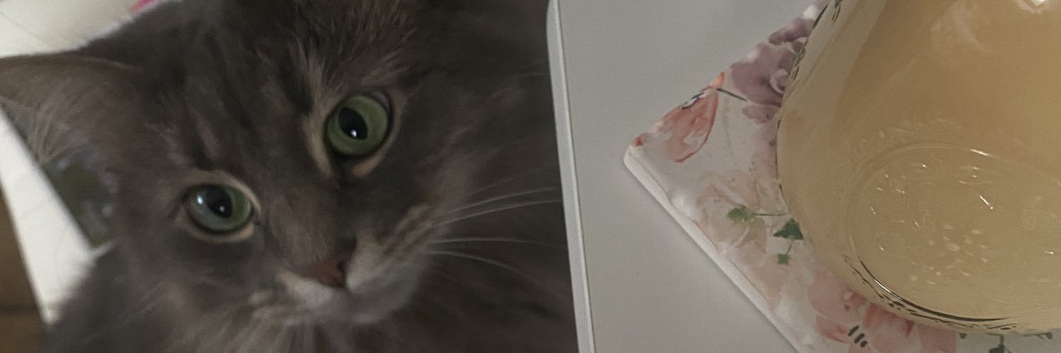 breryle's profile banner image
