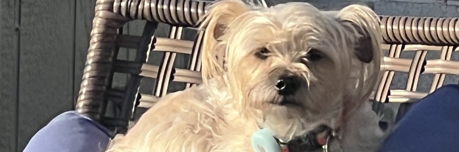 TrishaF☮️🌎🌗🌞🥀 banner