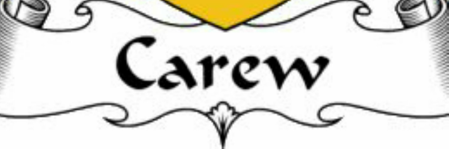 solacarew's profile banner image