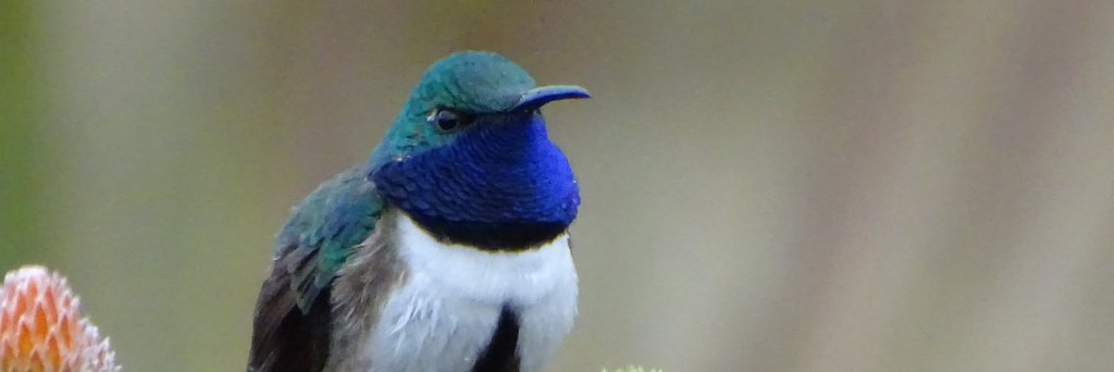 eabonaccorso's profile banner image