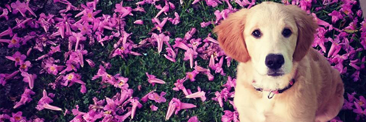 Minyna's profile banner image