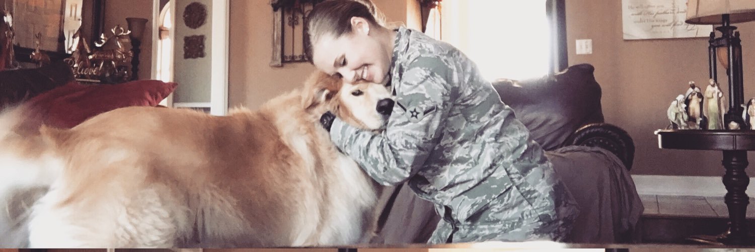 AllisonBoehler's profile banner image