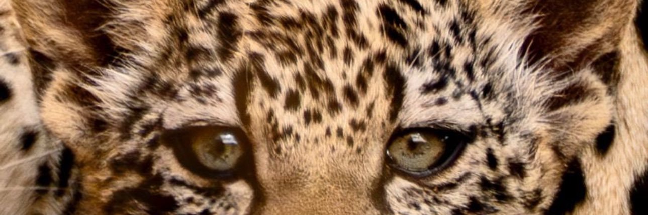 1mm122's profile banner image