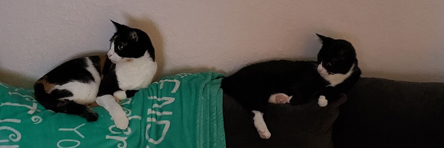 BlossomFl's profile banner image