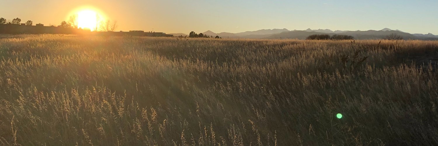 StephHalligan's profile banner image