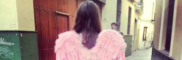 TrianaSalado's profile banner image