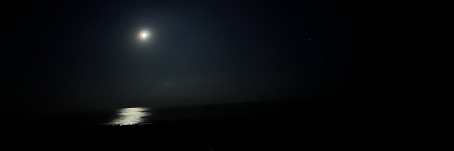 Shushi's profile banner image