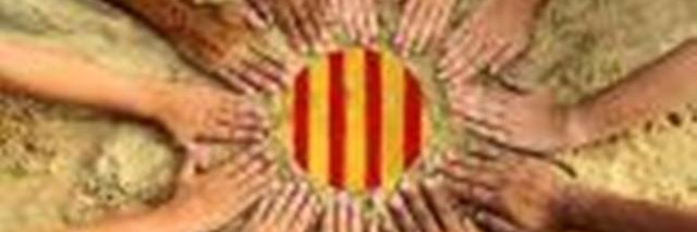 ROS1943's profile banner image
