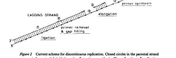 oakazaki Profile Banner
