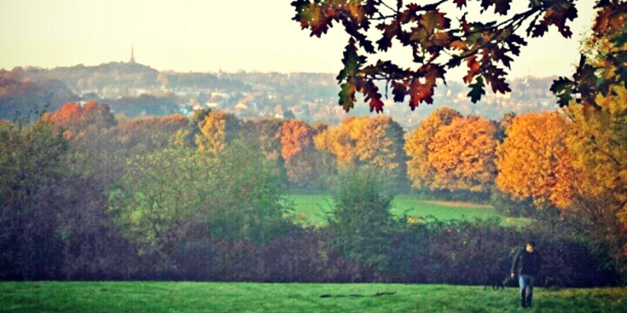 1DavidEsco's profile banner image