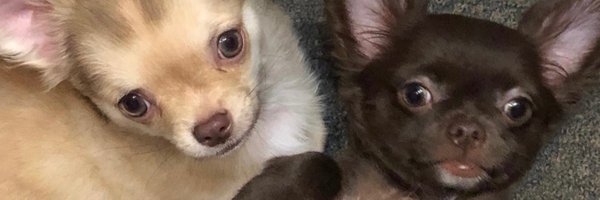 _JayScorpion Profile Banner