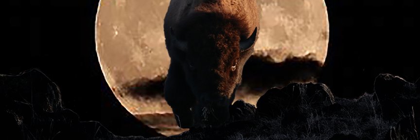 KatjaBethune's profile banner image