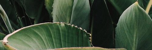 vamud526's profile banner image