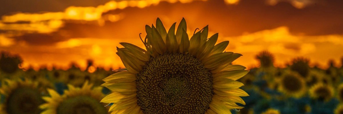 S_Retallick_3's profile banner image