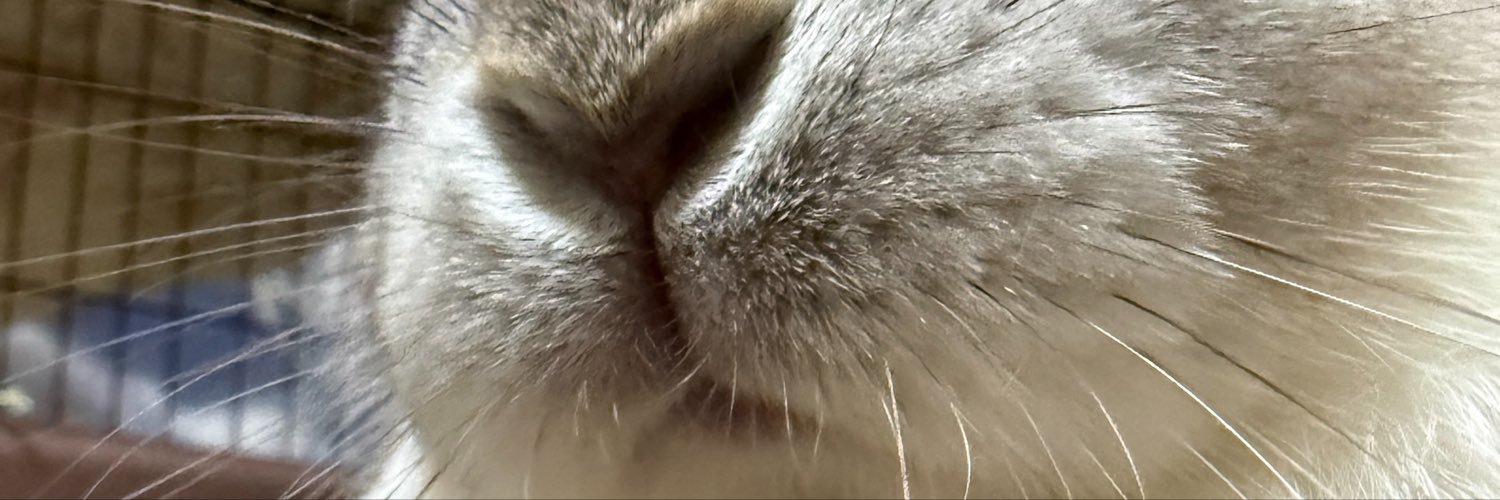 tutanso's profile banner image