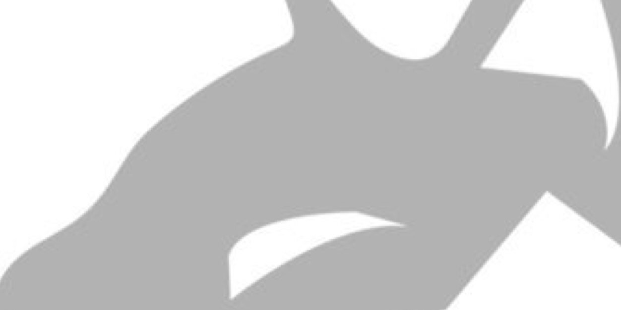 Le_Chat2's profile banner image