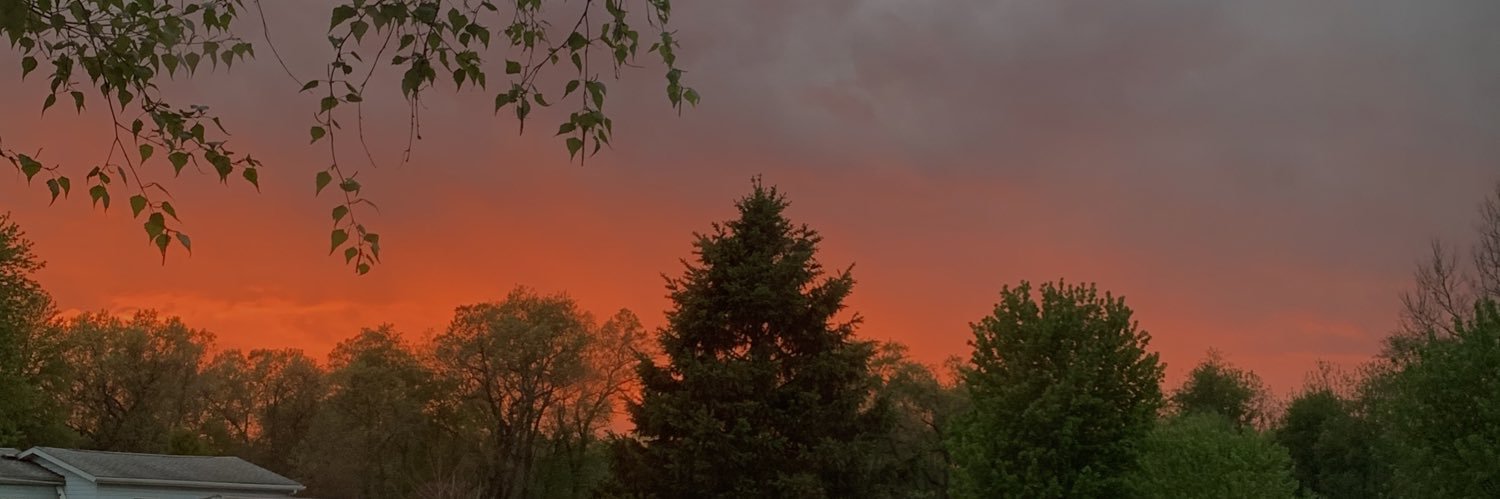 BayleeGabriele's profile banner image