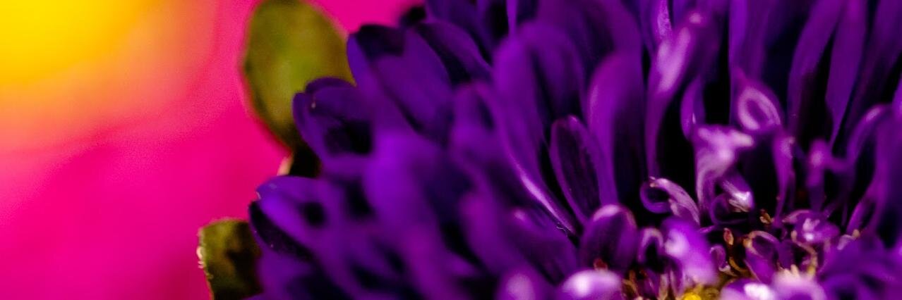 HeidyMta's profile banner image