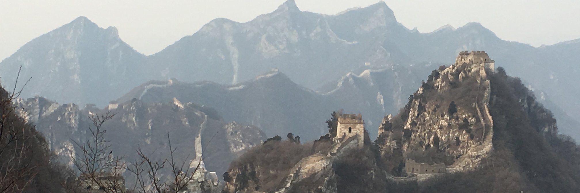 Terry Edwards banner