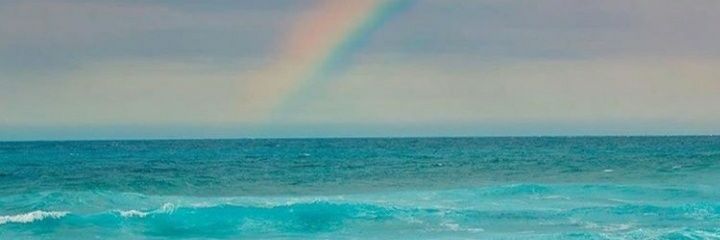 nlv21's profile banner image