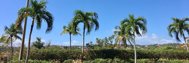 itsscatherineee's profile banner image