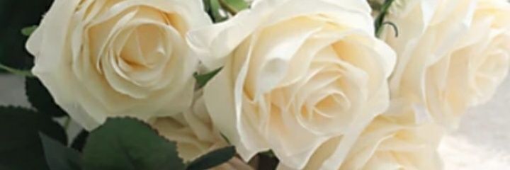 VB_Danai's profile banner image