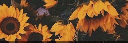 HeatherParten's profile banner image