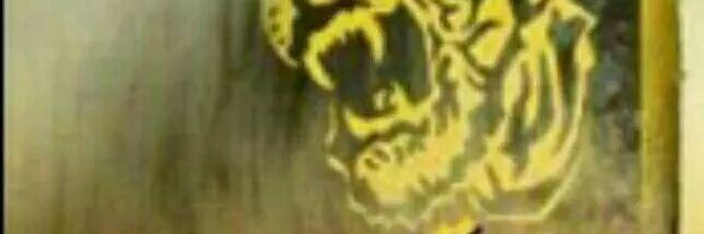 Ma205062's profile banner image