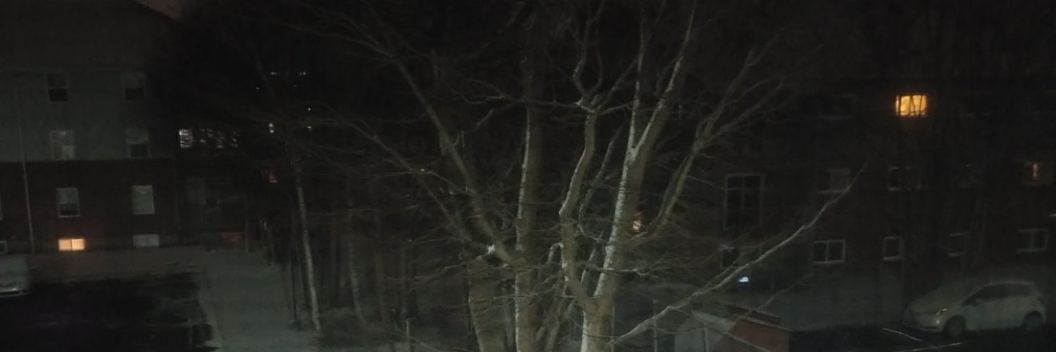 StarZilian's profile banner image