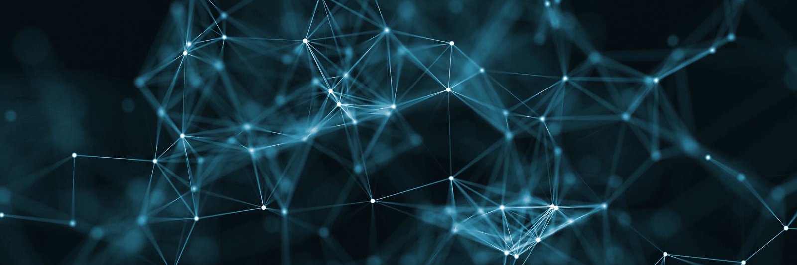 Vitor Quaresma banner