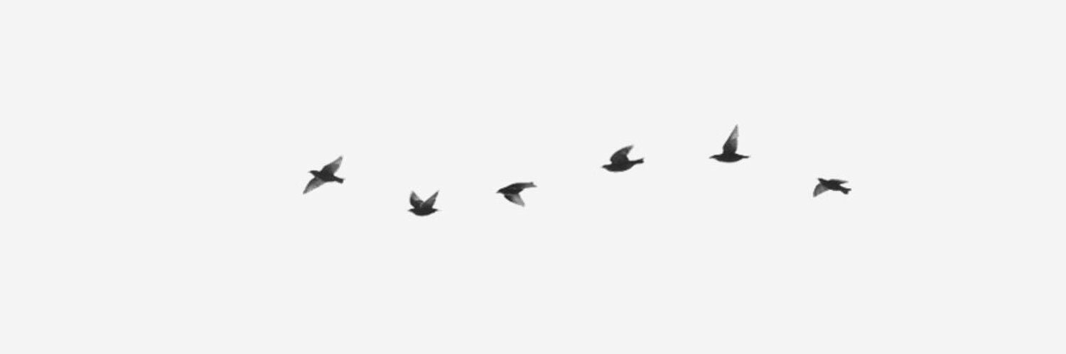 Moudi_mf's profile banner image