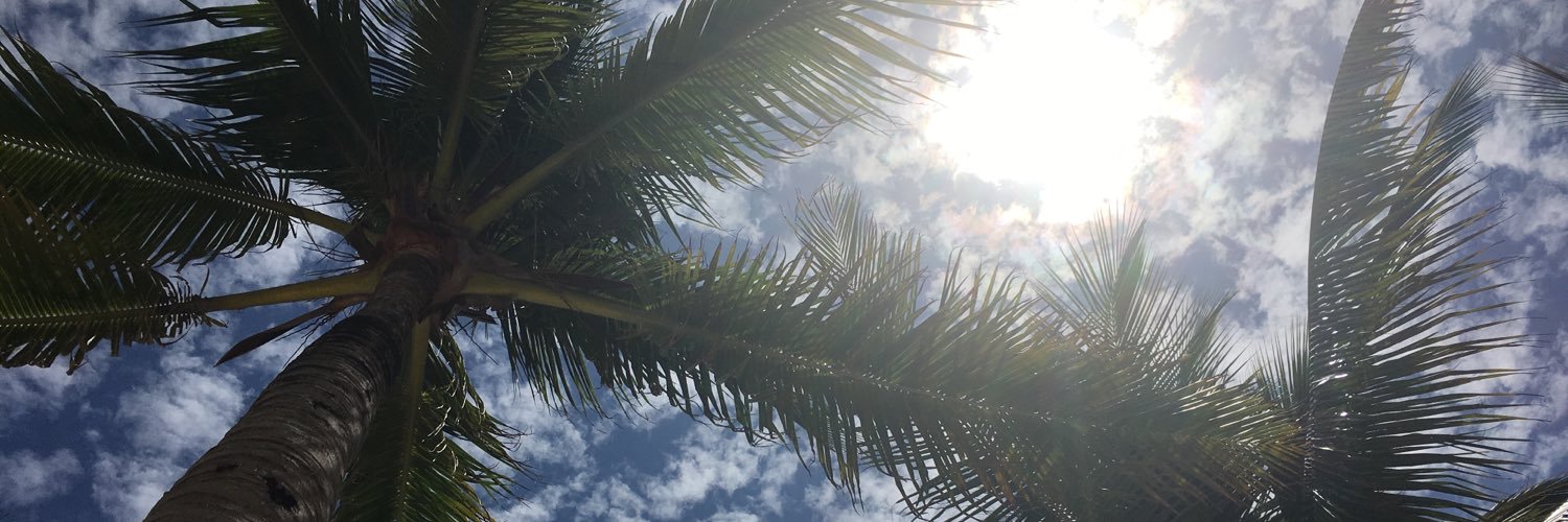 joeehaag's profile banner image