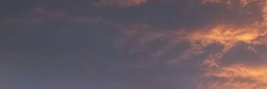 LbrownXD's profile banner image