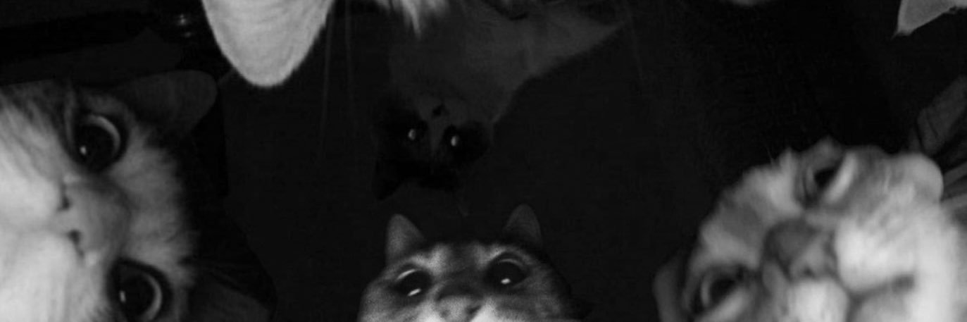 MMZZRRLL's profile banner image