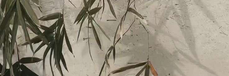 AlanBatisra's profile banner image