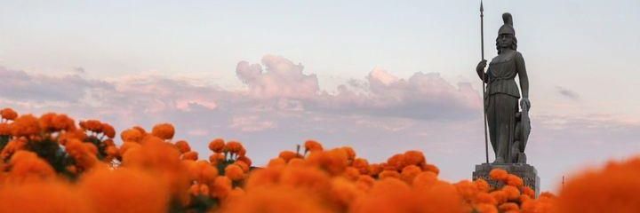 marushsmith's profile banner image