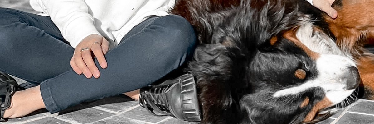 GretaQu's profile banner image