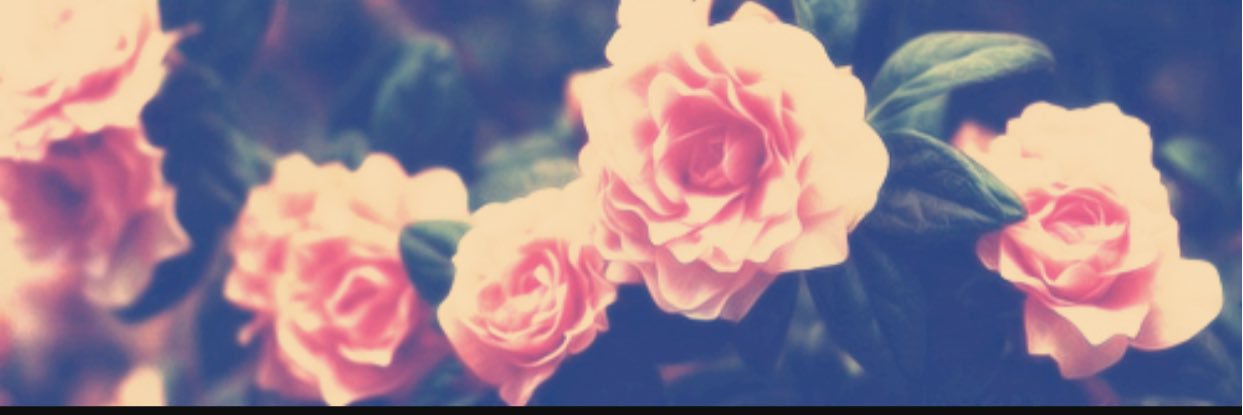SydneyBoyd's profile banner image