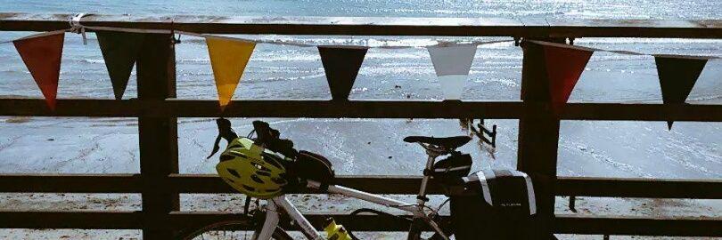 🍍Clare Bear 🐻 banner