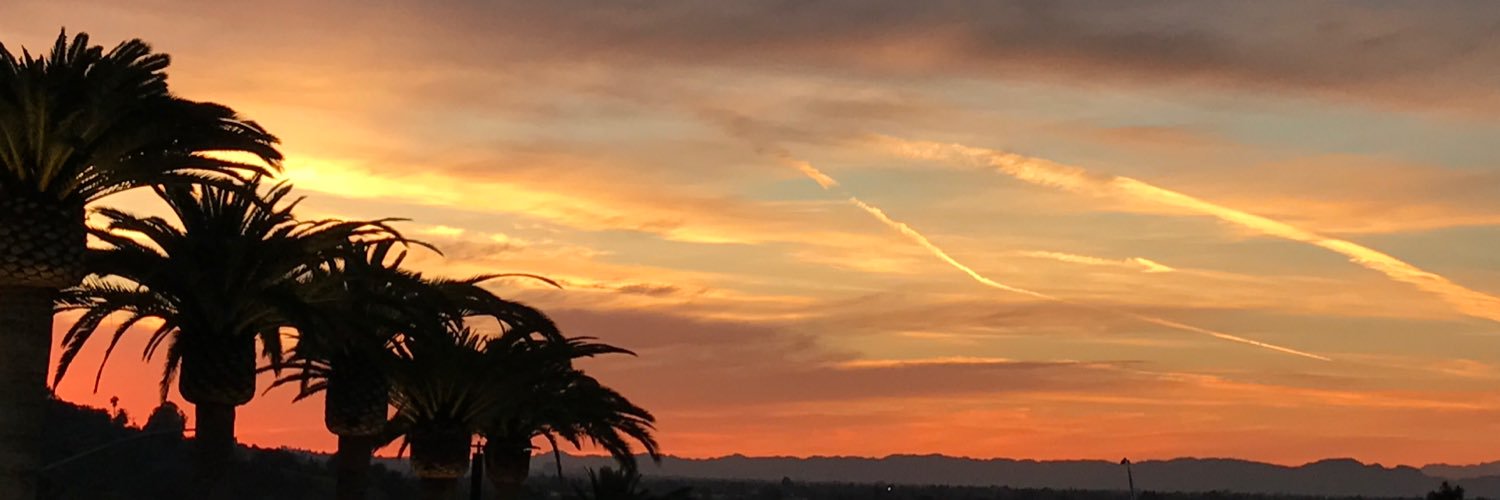 ShellieGraham1's profile banner image