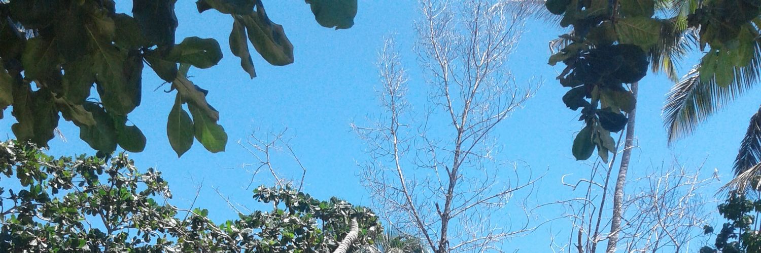 bebo_alien's profile banner image