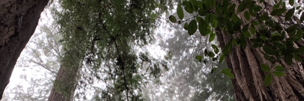 ericlitmer's profile banner image