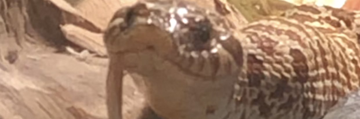 megmcclovin's profile banner image
