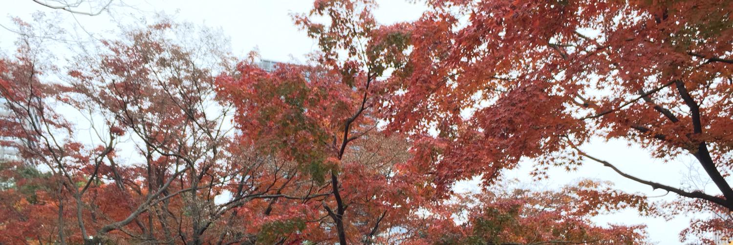 813Ryosuke's profile banner image