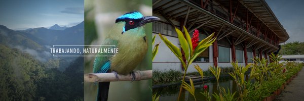 CarderRisaralda Profile Banner