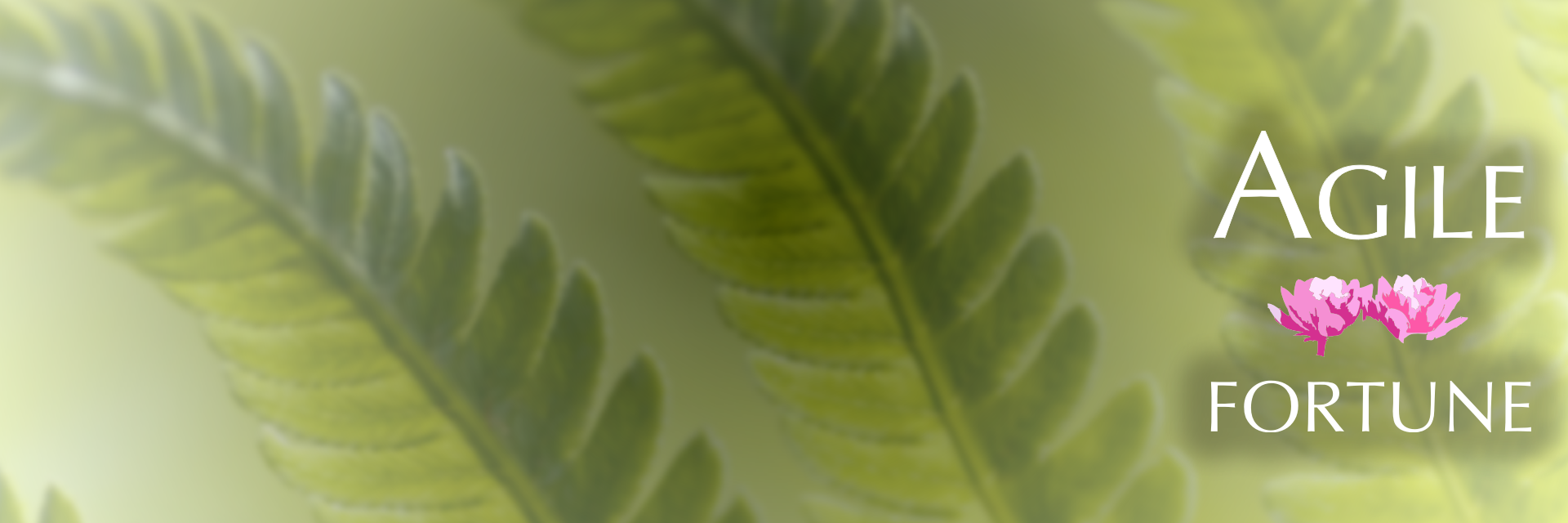 AgileFortune banner