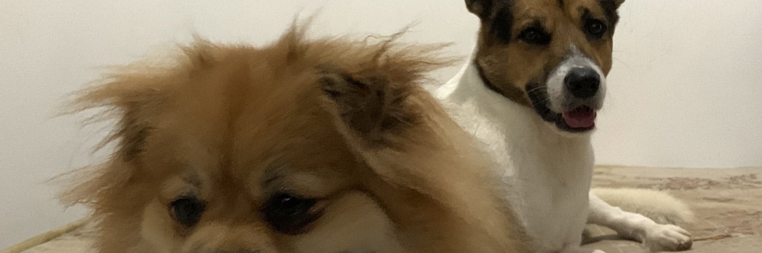 krisenm_'s profile banner image