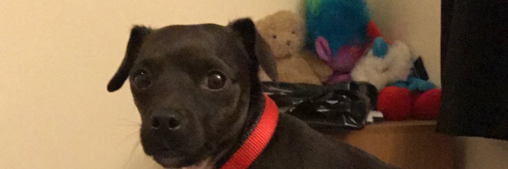 connel95's profile banner image