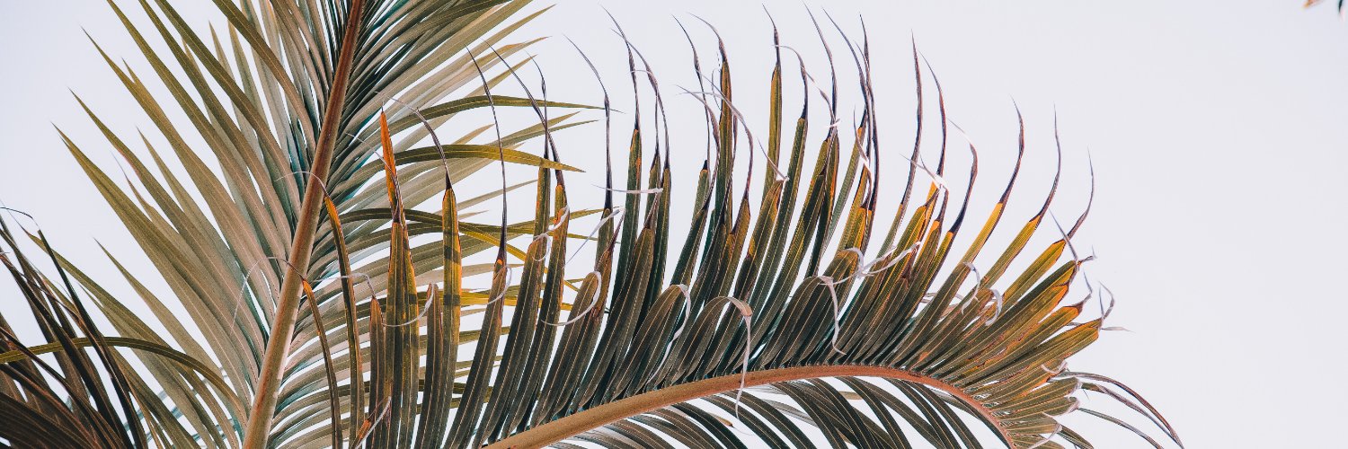 SeahavenNoosa's profile banner image