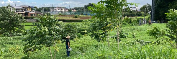 namikokato Profile Banner